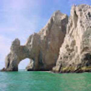 Meet your Posher, Shayne